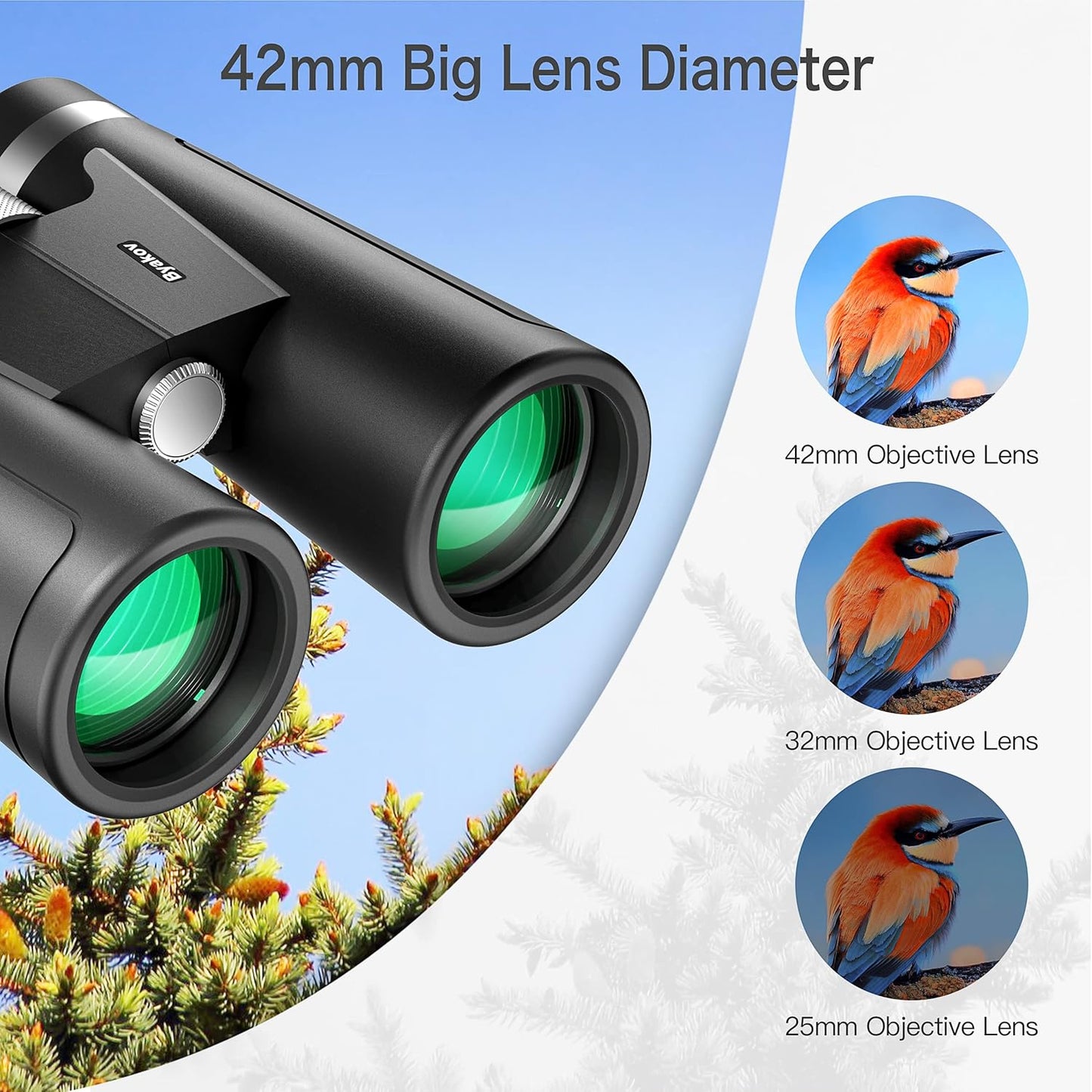 12X42 Binoculars for Adults and Kids, Compact Binoculars for Bird Watching with Clear Low Night Vision, Lightweight Hunting Binoculars with Smartphone Adapter Tripod and HD BAK4 FMC Lens